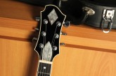 Zemaitis GZ-501-7.jpg